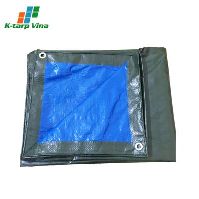 B2B Korean Modern Technology Custom Production Waterproof Pe Tarpaulin Sheet