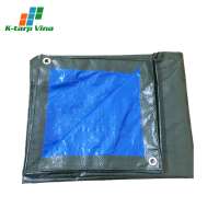 B2B Korean Modern Technology Custom Production Waterproof Pe Tarpaulin Sheet