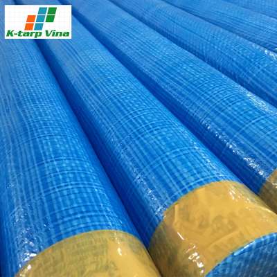 Custom Production For Weaving Water Jet Looms Plastic Tarpaulin Covers Manufacturer