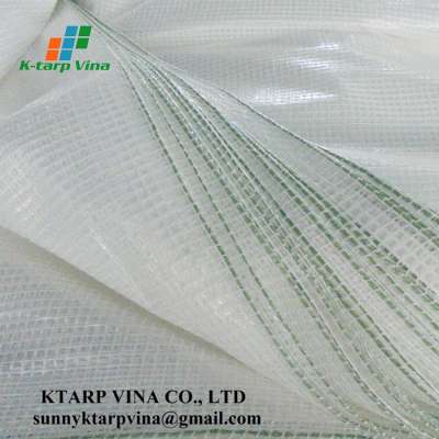 Factory Vietnam Origin Direct Source For Transparent Tarp Plastic Pe Tarpaulin Cover Price