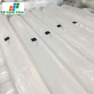 Boost Export For Polyethylene Tarp Sheeting Durable Wholesale 4 X 6 Mesh Tarpaulin