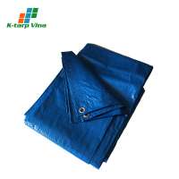 Light Duty Polyethylene Tarp Sheet Waterproof Custom Production Wholesale Pe Tarpaulin