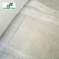 Best Choice For Imports Transparent Tarp Custom Size 20 X 20 Korea PE Tarpaulin Plastic