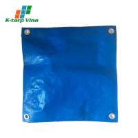 Wholesale Manufacturer Vietnam Cover Fence In Construction PE Plastic Tarpaulin